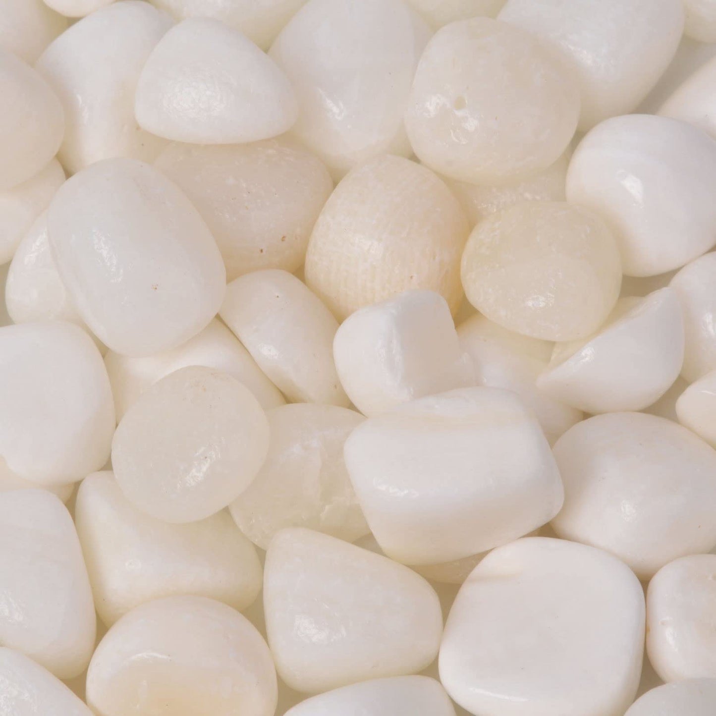 Natural Tridacna Shell Polished Chips Crushed Tumbled Stone Crystal Healing Embellishments 100 grams