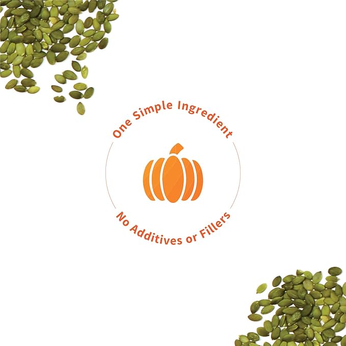 Sprout Living Organic Pumpkin Seed Protein Powder, Unflavored, 20 Grams of Plant Based Protein Powder Without Artificial Sweeteners, Non Dairy, Non-GMO, Vegan, Gluten Free (1 Pound, 15 Servings)