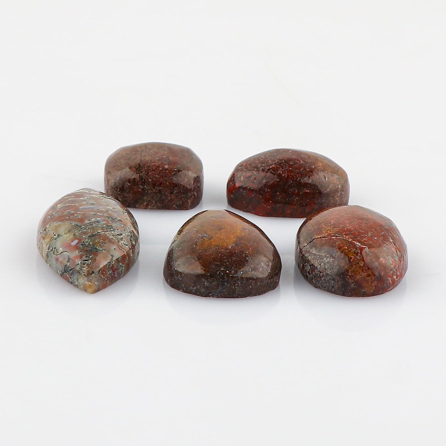 CRYSTALINES 5pcs, Wholesale Genuine Dinosaur Bone Gemstone Cabochons, Bulk Polished Loose Stones, DIY Jewelry Making Supply, Chakra & Healing Crystals, Wire Wrapping, Gems Collection