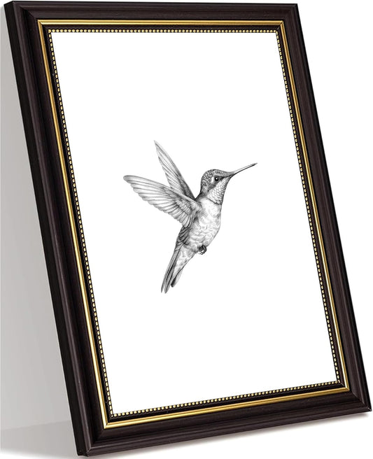 Skiennix Framed Bird Sketch Canvas Wall Art - Minimalist Black & White Vintage Decor for Home
