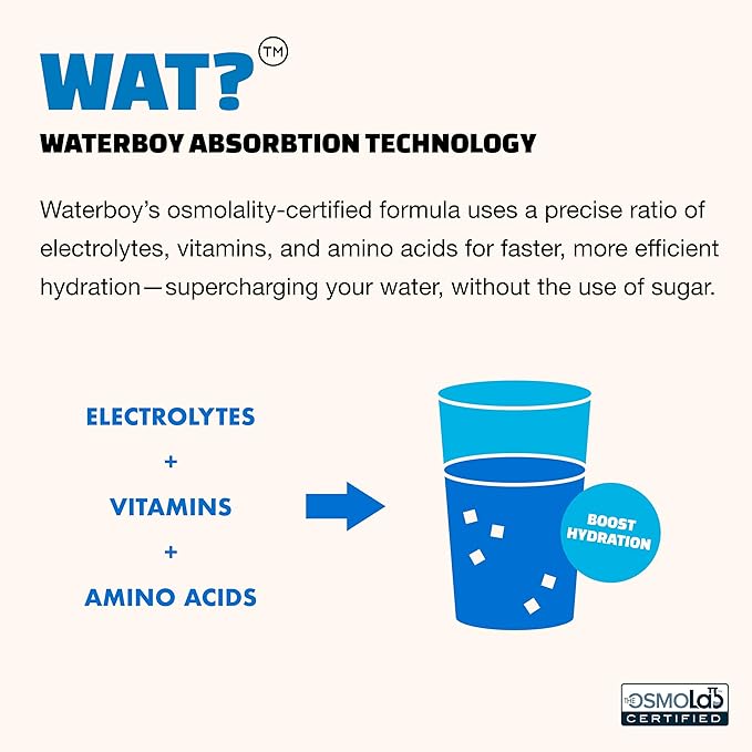 Waterboy Workout Hydration | 2,960mg Sugar Free Electrolyte Powder Packets | L-Glutamine + Vitamins | No Sugar, All Natural, Gluten Free | 15 Drink Stick Mixes (Strawberry Lemonade)
