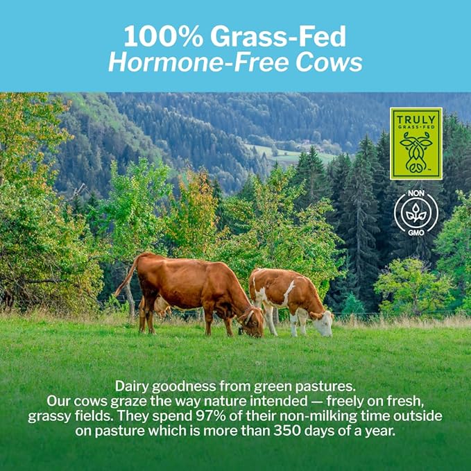 Opportuniteas Grass Fed Chocolate Whey Protein Isolate Powder - 20g Protein Powder Without Artificial Sweeteners, Hormone-Free Cows, Non GMO - 2.5lb