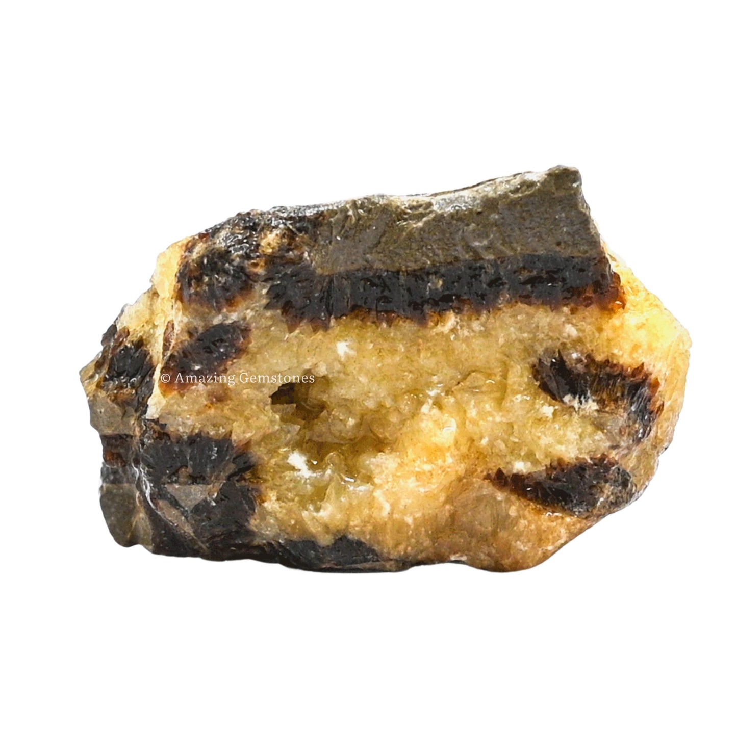 Amazing Gemstone Septarian Raw Crystals and Healing Stones, Natural Rocks for Tumbling and DIY Raw Stones and Crystals (1 lb)