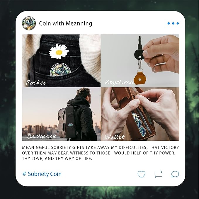 One Day at a Time 4 Year Sobriety Coin - Recovery Aurora Forest Wolf AA Coins - Addiction NA AA Chips and Medallions - Celebrate 1-20 Living Clean Narcotics Alcoholics Anonymous Gifts for Men Women