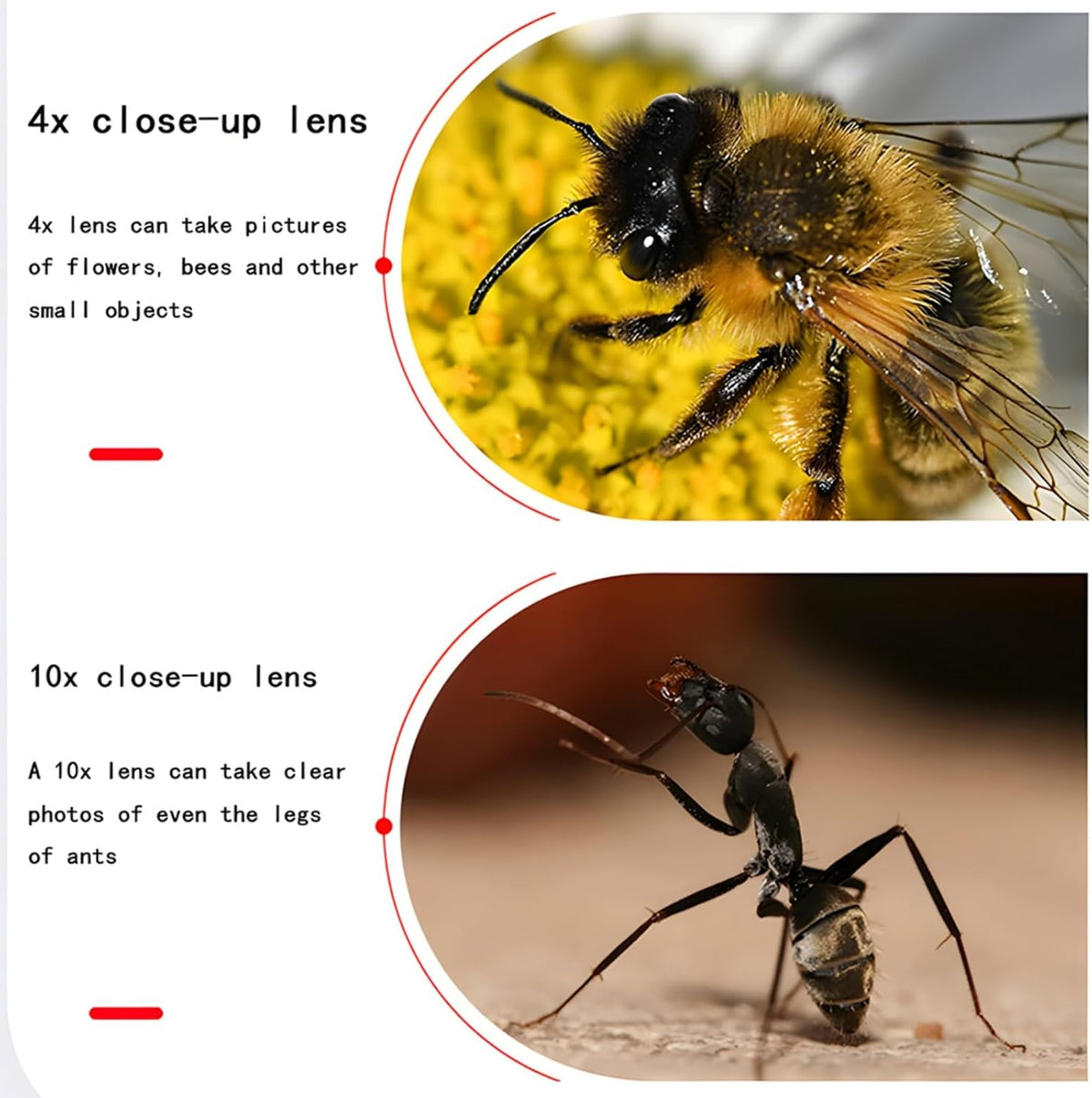 YOFOTIXAUU 55mm 4 (+1 +2 +4 +10) Set, (55mm) Close-Up Lens Filters Kit Pieces Macro Filter Lens Cap & Cleaning Cloth