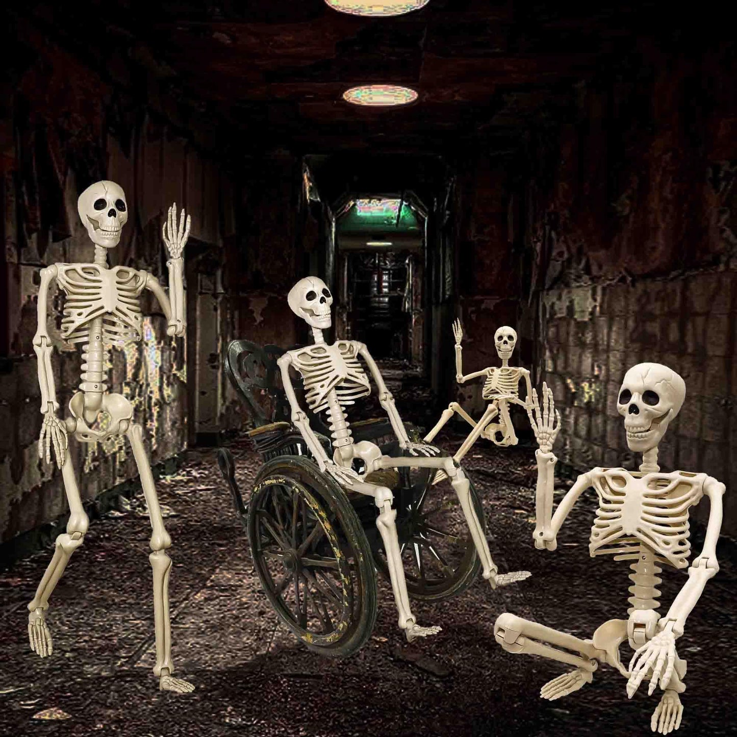 2 Pack 36"Halloween Skeleton - 3 ft Life Size Human Skeleton with Full Body Posable Joints Plastic Skeleton for Halloween Skeletons Decor Yard Patio Lawn Garden Skeleton Props Spooky Party Decoration