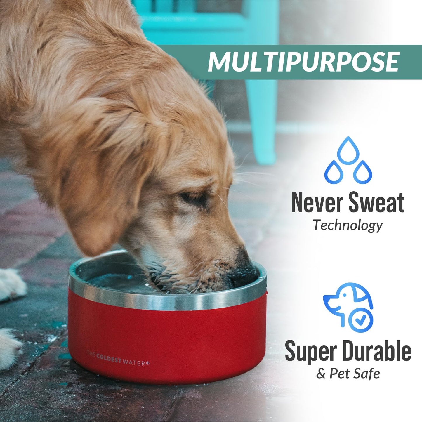 Coldest Dog Bowl - Anti Rust Metal, Non Slip, 3 Layers Insulated Stainless Steel Dog Bowls - Spill Proof & Heavy Duty - Water Bowl for Dogs, Cats & Pets, Dish Washer Safe (21 oz, Epic White)