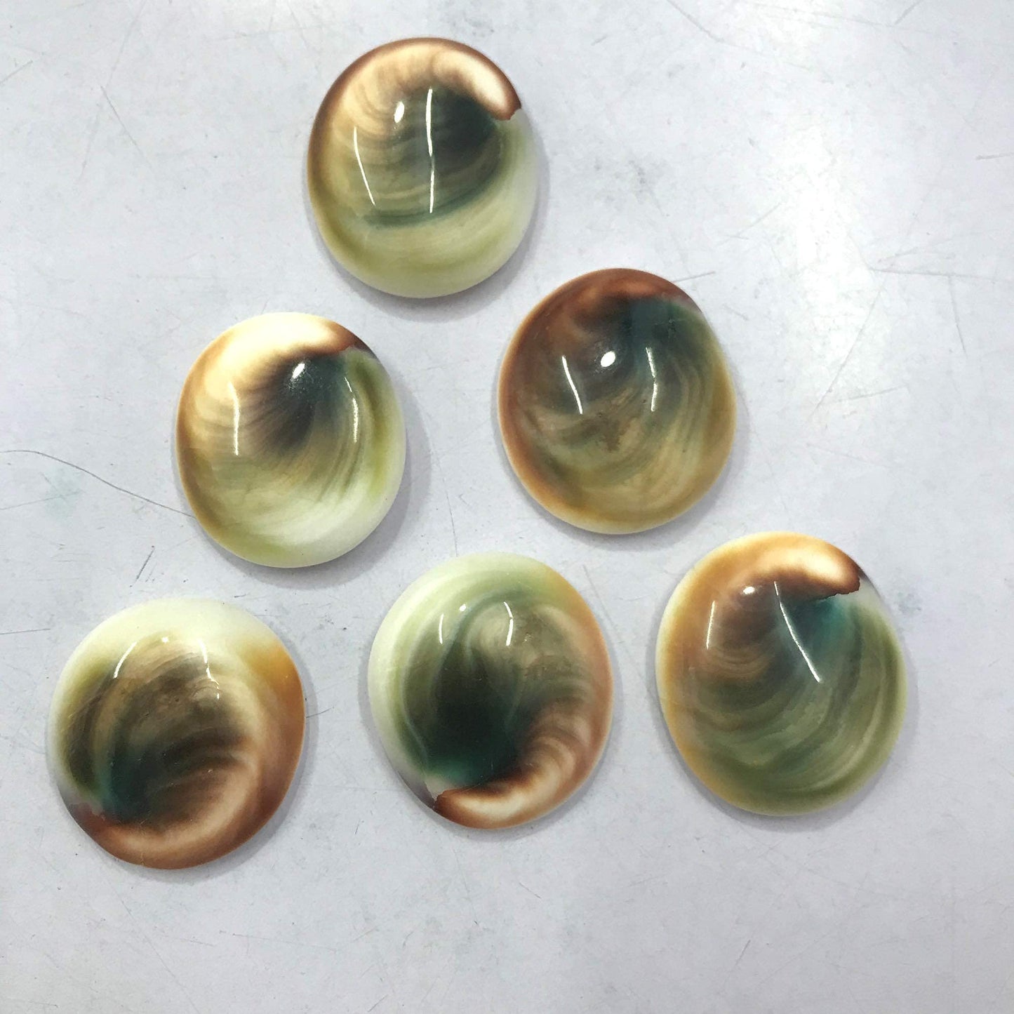 GEMKORA™ 3 to 5pcs Natural Shiva Eye Shell Gemstones Wholesale Cabochons Lot, Jewelry Making Loose Gemstone, Polished Gems, DIY, Wire Wrapping, Reiki, Healing Crystals, Bulk Gemstone Deal