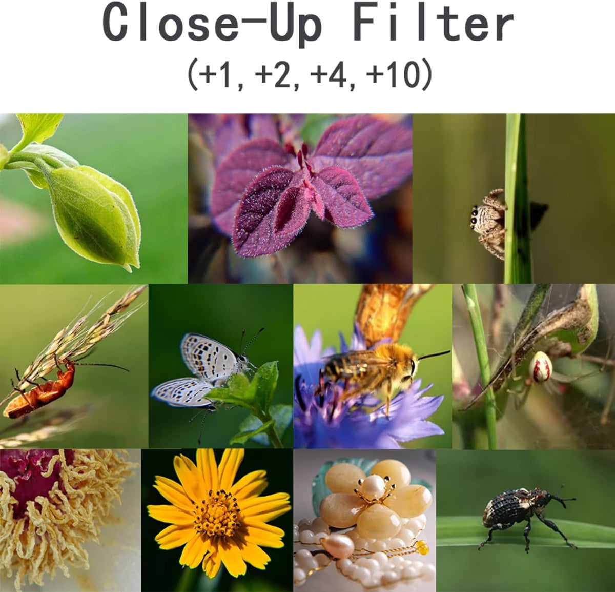 YOFOTIXAUU 82mm 4 (+1 +2 +4 +10) Set, (82mm) Close-Up Lens Filters Kit Pieces Macro Filter Lens Cap & Cleaning Cloth