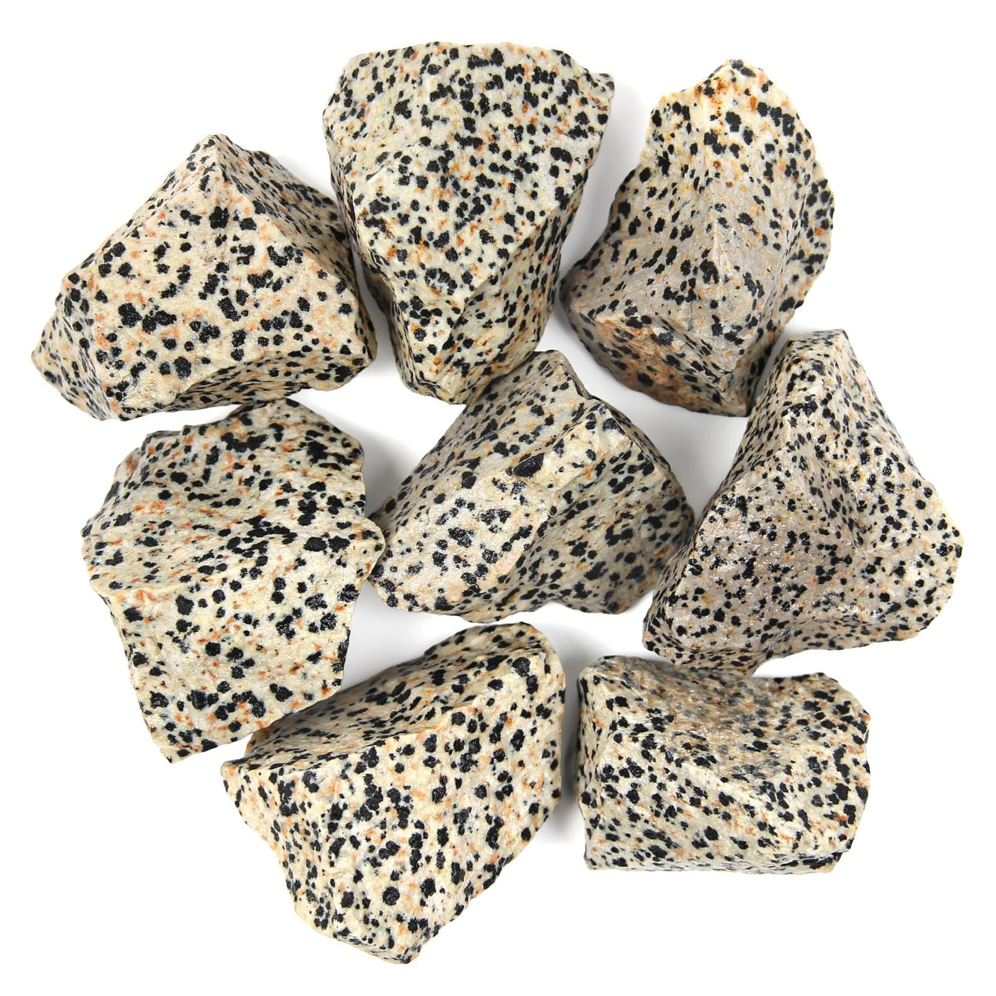 1.1lb Bulk Raw Dalmatian Jasper Rough Crystal-Natural Dalmatian Jasper Raw Stones Crystal for Tumbling, Cabbing, Fountain Rocks, Decoration, Polishing, Wire Wrapping, Wicca & Reiki Crystal Healing