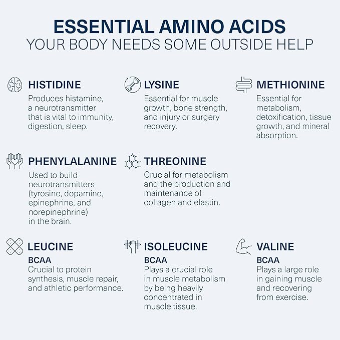 The Amino CO. - Heal - Post Workout Recovery Drink with Pure Eaa Amino Acid Formula - Creatine Monohydrate Powder for Efficient Muscle Repair, Vegan, and Keto-Friendly with Grape Flavor - 10.89oz.