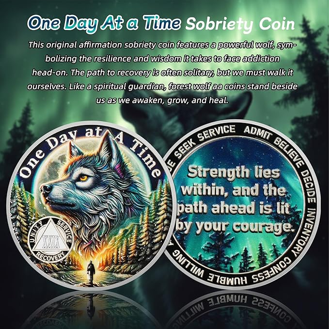 One Day at a Time 29 Year Sobriety Coin - Recovery Aurora Forest Wolf AA Coins - Addiction NA AA Chips and Medallions - Celebrate 1-30 Living Clean Narcotics Alcoholics Anonymous Gifts for Men Women