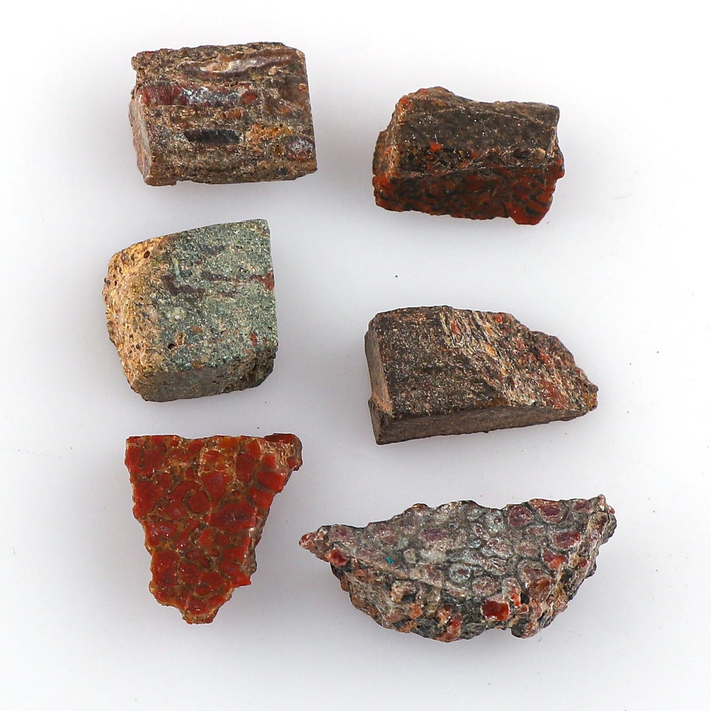 CRYSTALIS Wholesale 5pcs Natural Dinosaur Bone Raw Crystals, Loose Gemstone, Bulk Rough Jewelry Making Supply, Chakra Healing Raw Stones, Wire Wrapping, DIY, Gem Collection, Size : 8-12mm