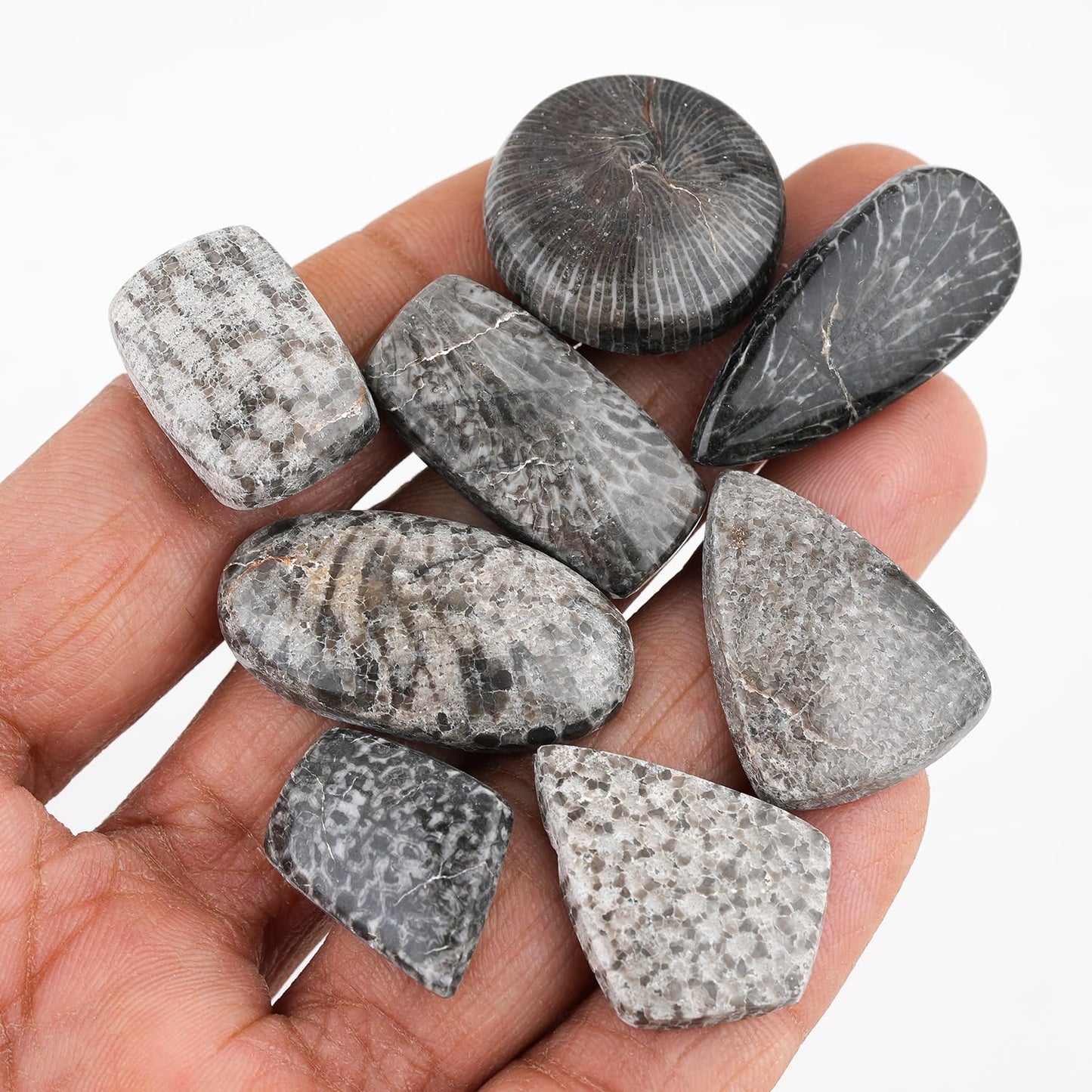 GemSymphony Natural Black Fossil Coral Gemstone Cabochon Pack of 3 Mixed Shapes – Polished Crystal Stones for Jewelry Making Supply, Healing, Reiki & DIY Crafts, Natural Gem Cab Set for Wire Wrapping (10-20 mm)