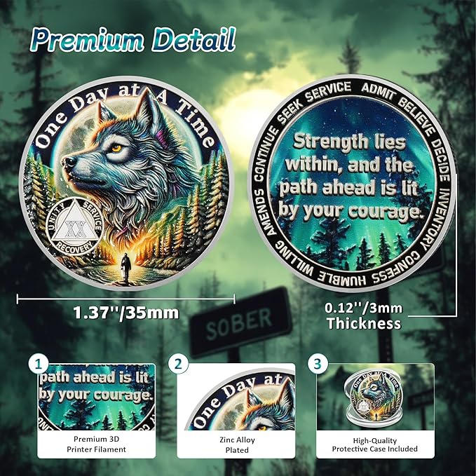 One Day at a Time 20 Year Sobriety Coin - Recovery Aurora Forest Wolf AA Coins - Addiction NA AA Chips and Medallions - Celebrate 1-30 Living Clean Narcotics Alcoholics Anonymous Gifts for Men Women