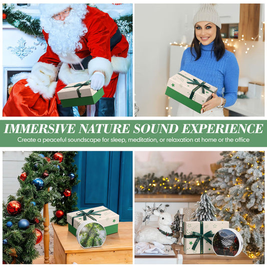 Hollowfly Singing Bird Box White Noise Sound Machine LED Light Radar Sensor Relaxation Device with 12 Natural Sounds Scenery Card Timer Bird Lover Gift for Sleeping Winter Holiday Staff Teacher Office