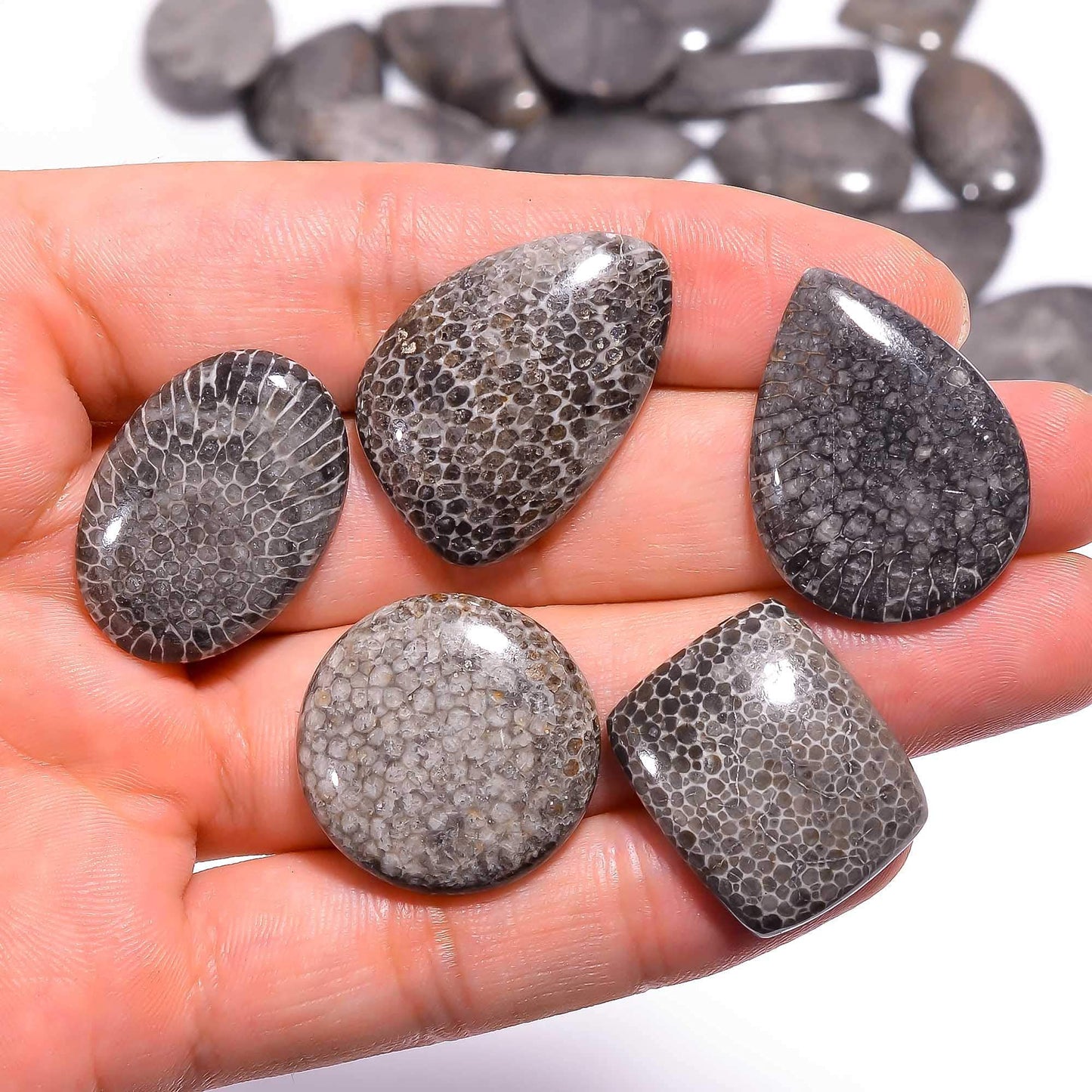 GEMKORA™ 4pcs Natural Black Coral Gemstone Cabochon Mix Shape Loose Gemstone Wholesale Cabochons Lot, Jewelry Making Loose Gemstone, DIY, Wire Wrapping, Healing Crystals, Bulk Deal
