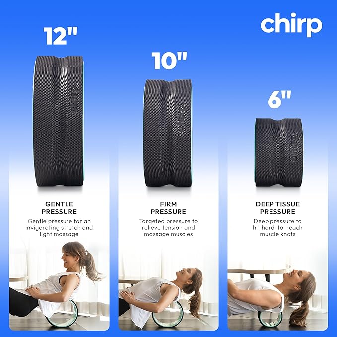 Chirp Wheel Foam Roller ??Targeted Back & Neck Relief, Lumbar Spine Stretcher, Spinal Decompression Back Stretcher, Massage Roller with Density Foam for Physical Therapy, Supports 500lbs, 6-Inch Mint