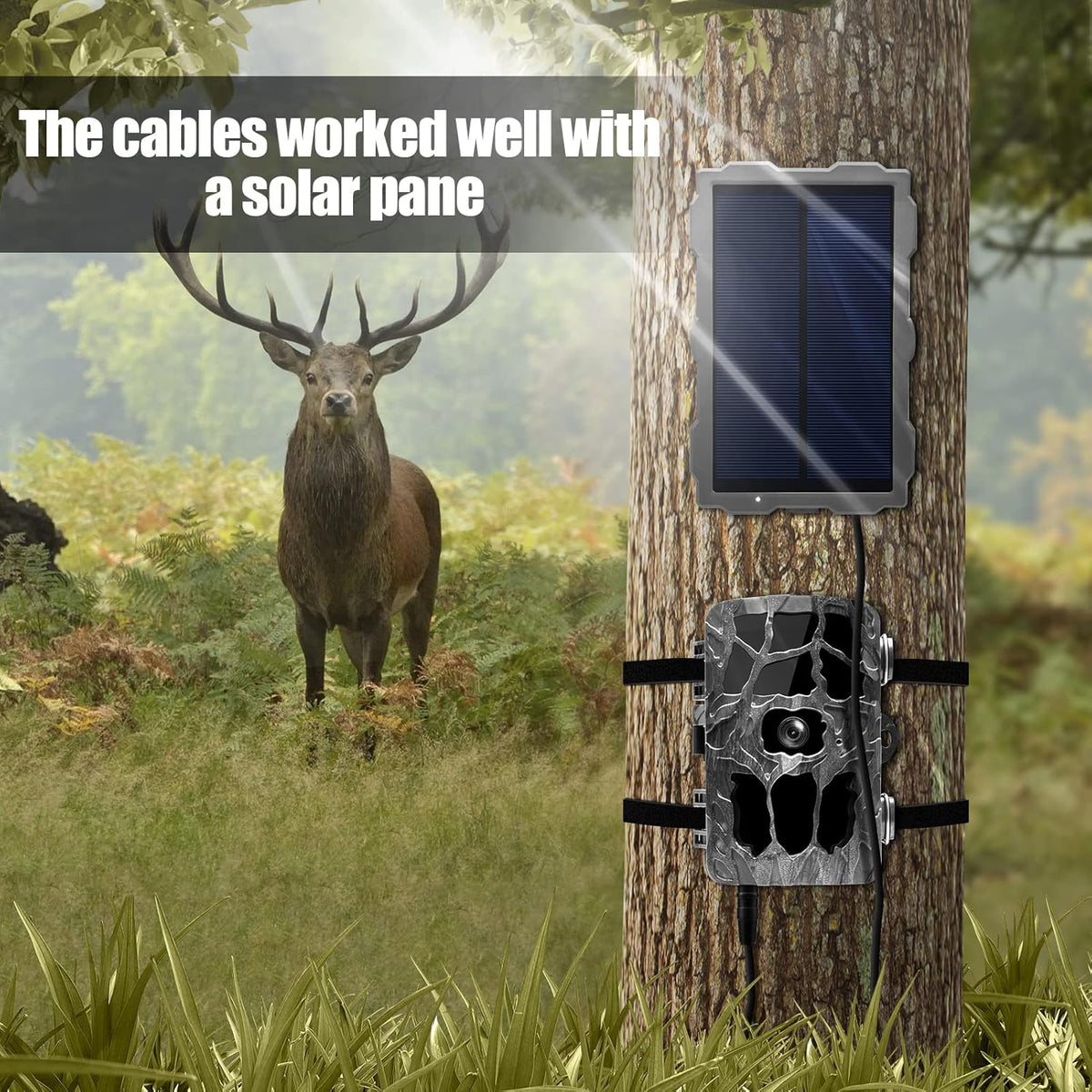 Yoizyfree Cord,79inch 5.5x2.1mm Trail Camera Power DC External Power Cable Compatible with DC Plug Trail Game Camera