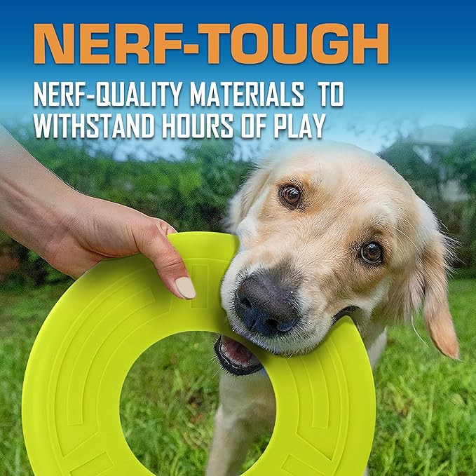 Nerf Dog Atomic Flyer Outdoor Dog Toy, 10 Inch Flying Disc Dog Fetch Toy, Rubber Dog Toy for Medium Dogs and Large Dogs, Green